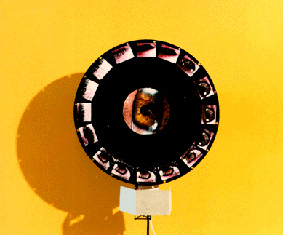 reflections in a golden eye